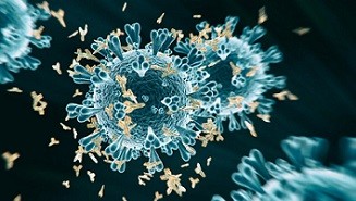 Какое количество антител должно быть для иммунитета к коронавирусу