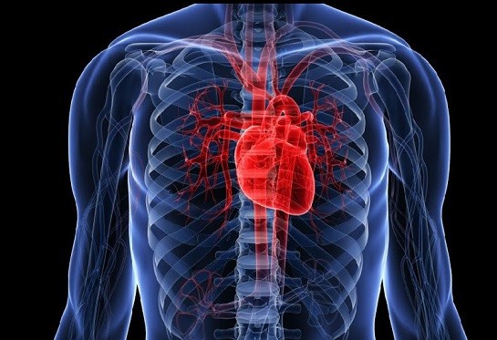 Как коронавирус влияет на сердце