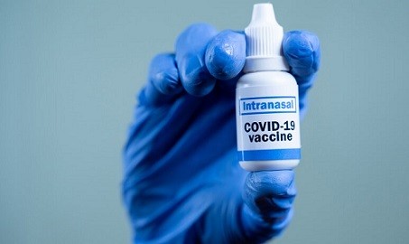Назальная вакцина от коронавируса