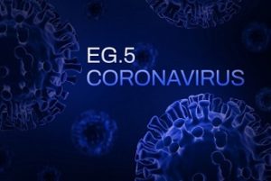 Новый штамм коронавируса эрис
