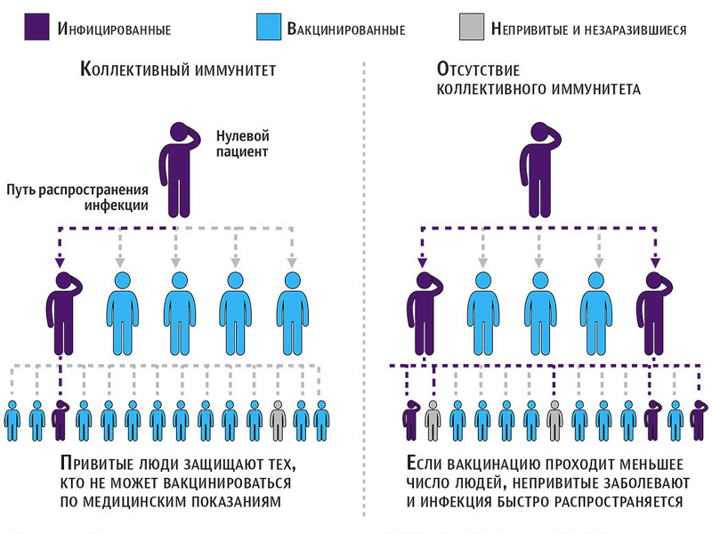 коллективный иммунитет